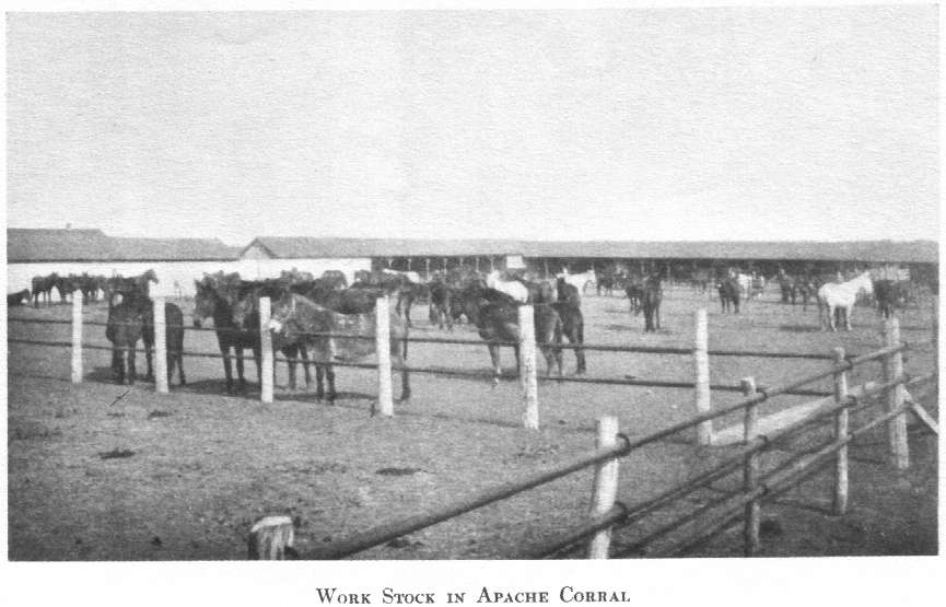 Work stock in Apache corral