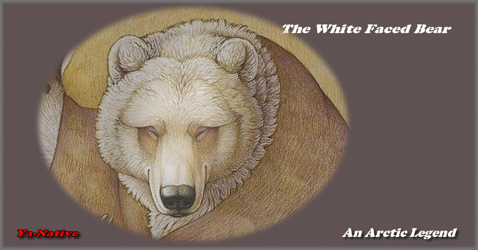 the white face bear