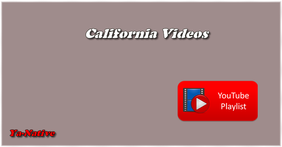 California videos\