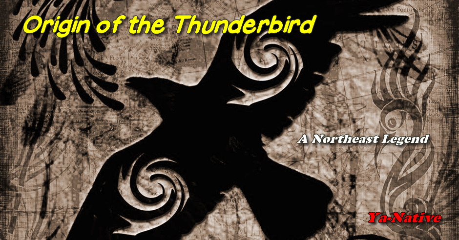 oring of the thunderbird