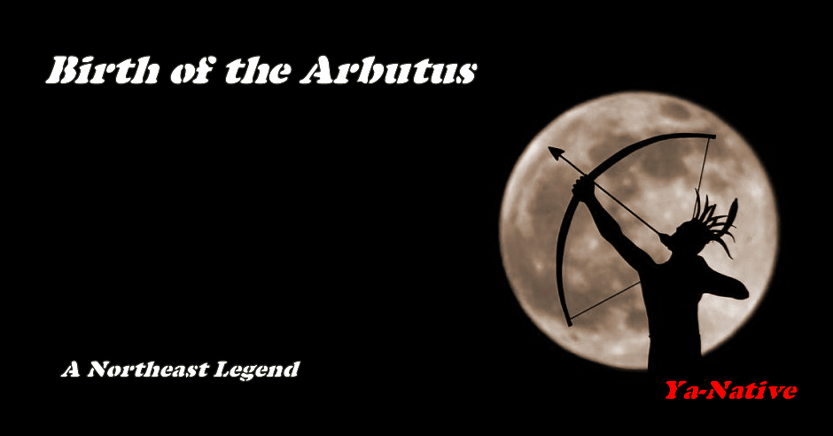 birth of the arbutus