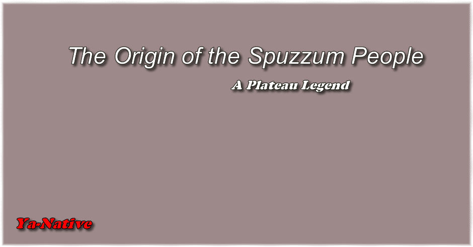 The Origin of the Spuzzum People