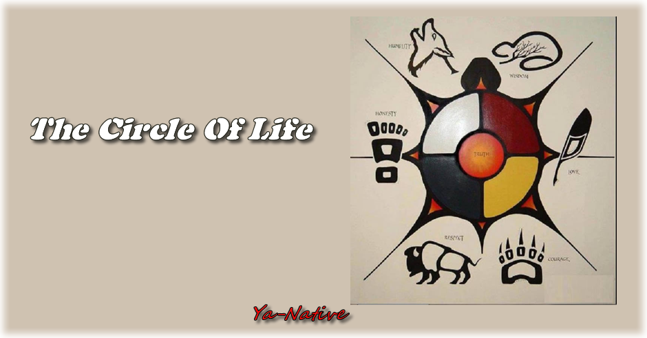 the circle of life