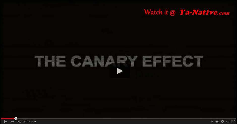 the canary effect