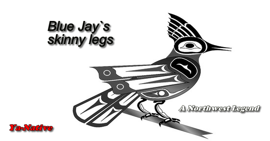 blue jays skinny legs