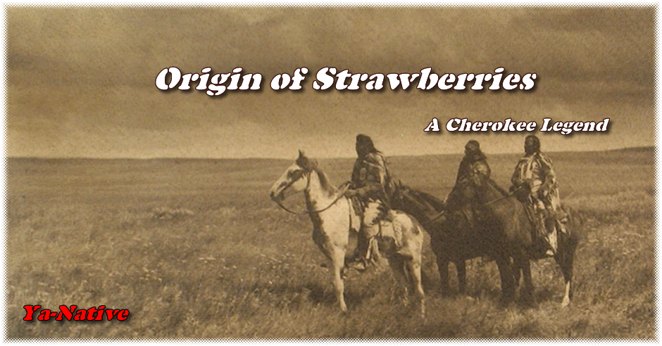 Origin of Strawberries