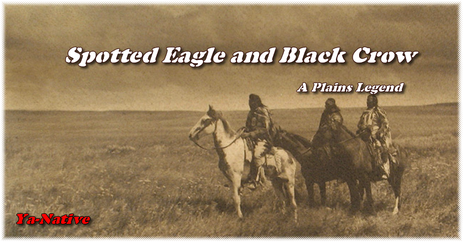 spotted eagle and black crow