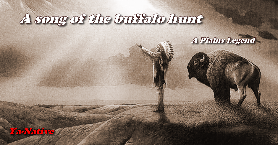 A song of the buffalo hunt